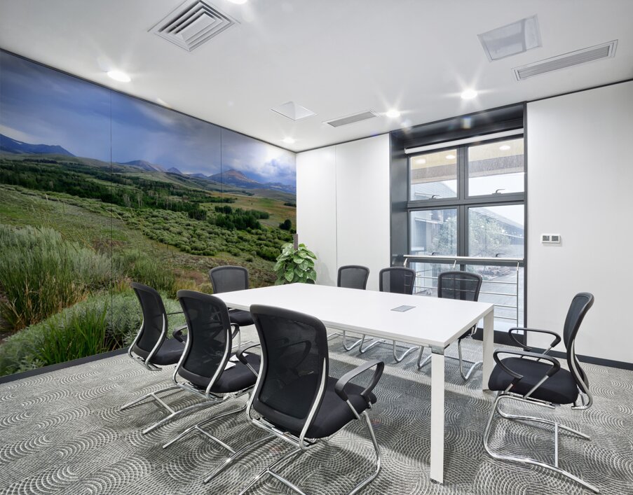 Sierra Nevada Wall Printing