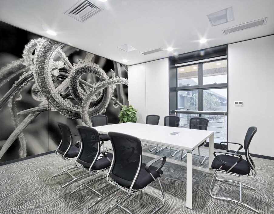 Natural Curl Wall Printing