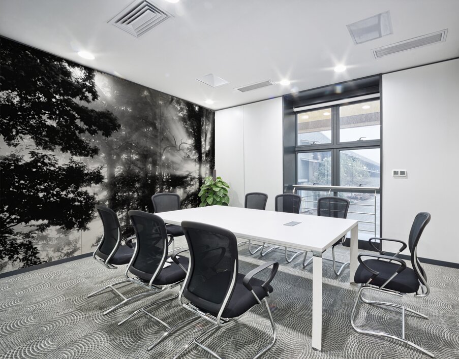 Misty Morning Rays Wall Printing