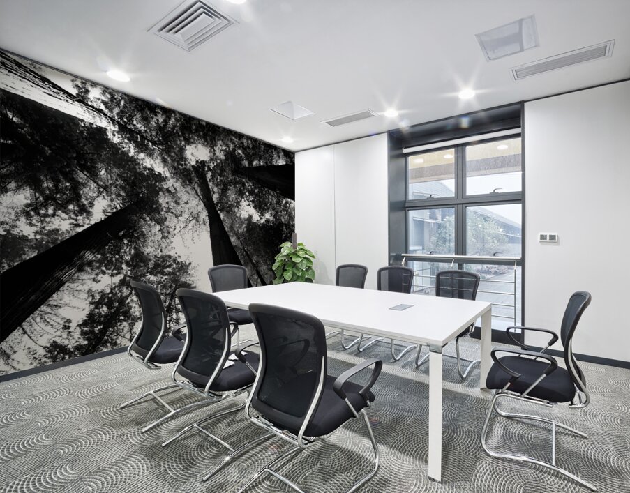 Redwoods Wall Printing