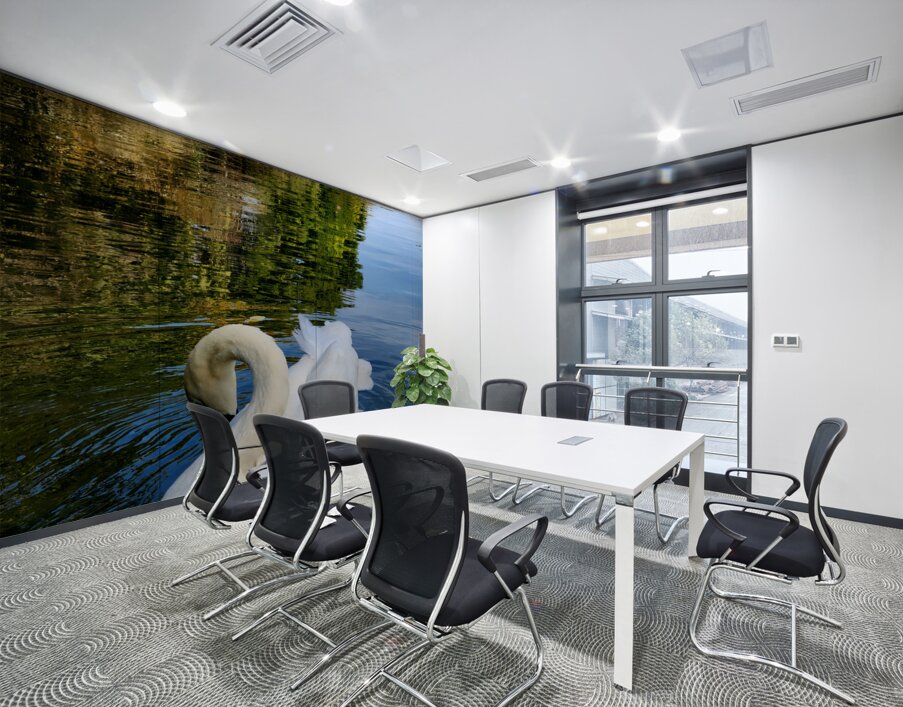 Swan 3 Wall Printing