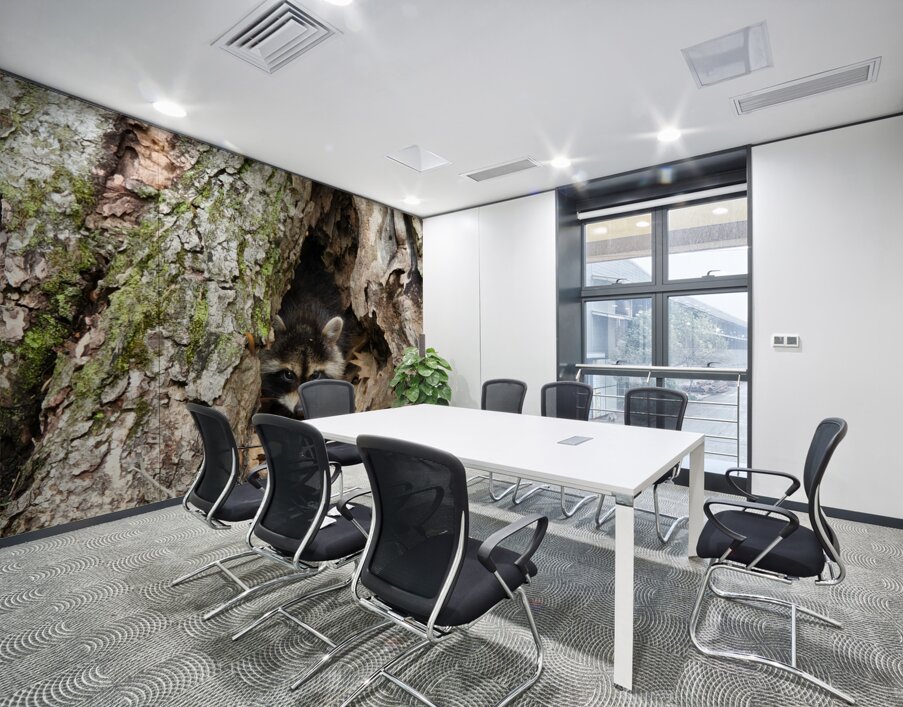 Racoon Kit Wall Printing