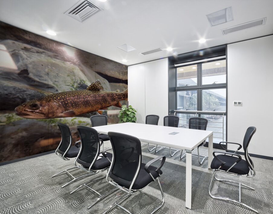 Brook Trout Wall Printing