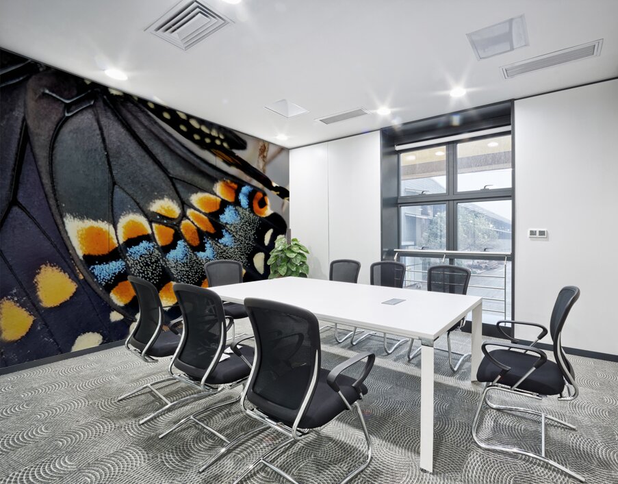 Black Swallowtail Closeup Wall Printing