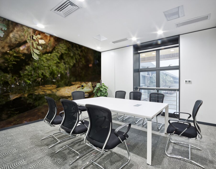 Bull Frog Wall Printing