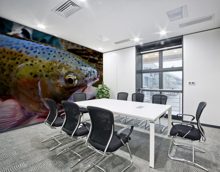 Steelhead Closeup Wall Printing