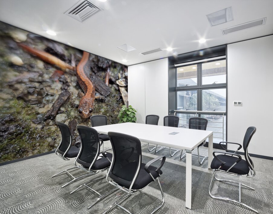 Redback Salamander Wall Printing