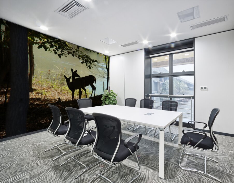 Lake Deer Wall Printing