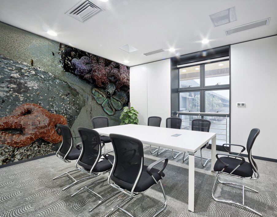 Tidal Pool 3 Wall Printing