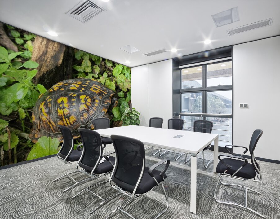 Box Turtle Wall Printing
