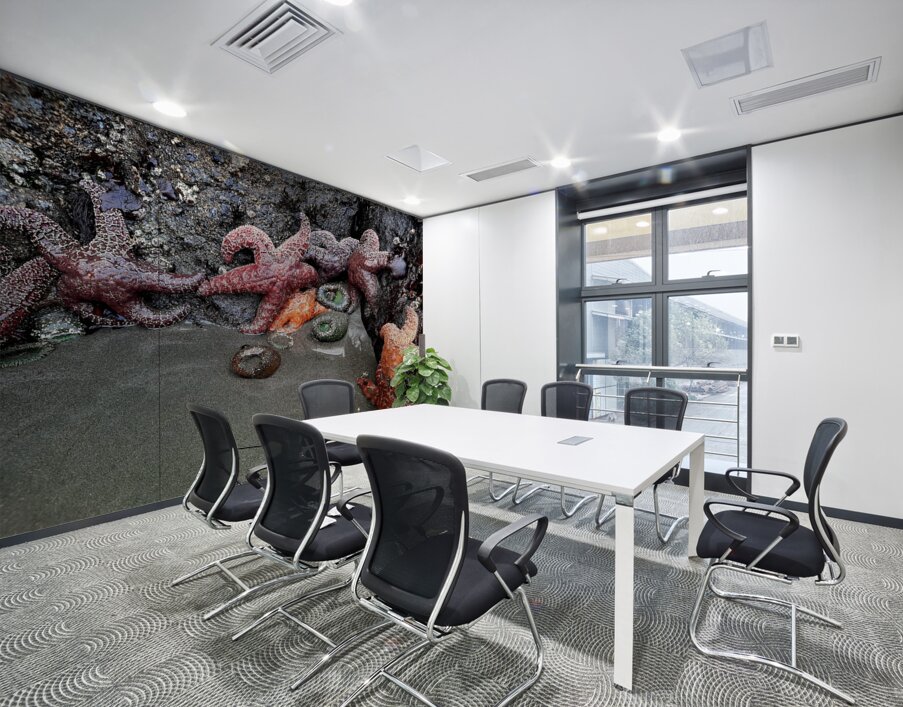 Tidal Pool 4 Wall Printing