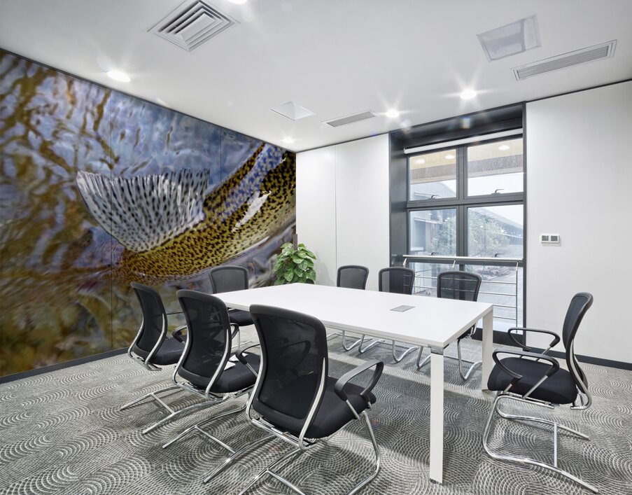 Trout Dorsal Fin Wall Printing