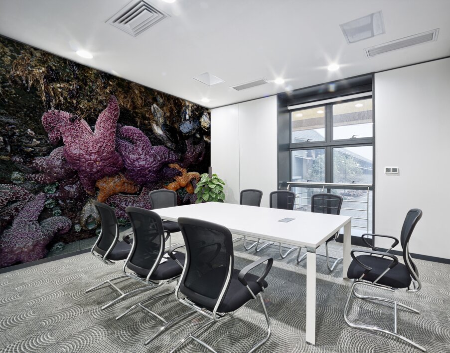 Tidal Pool 7 Wall Printing