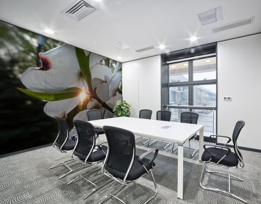 White Dogwood At Sunset Wall Printing