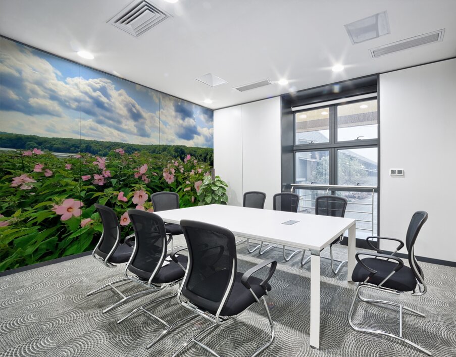 Swamp Mallow At Moraine State Park Wall Printing