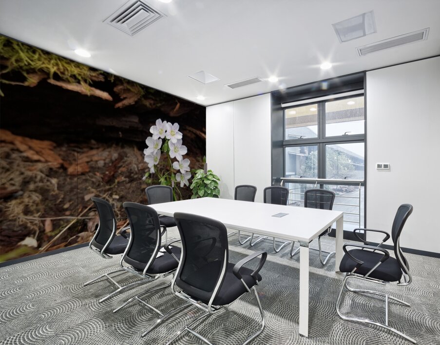 Spring Beauties Wall Printing