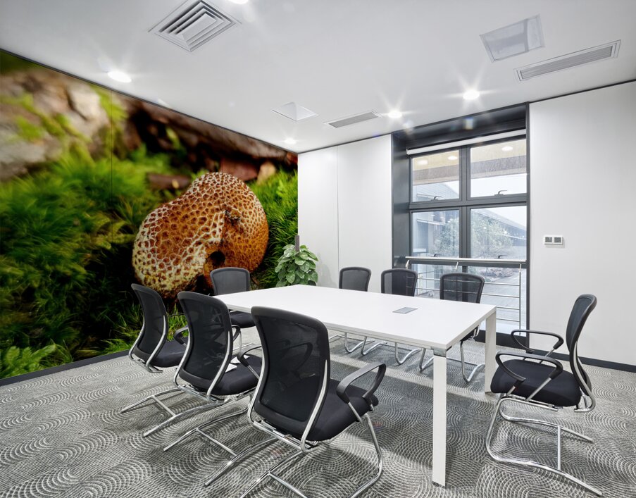 Snoring Fungus Wall Printing