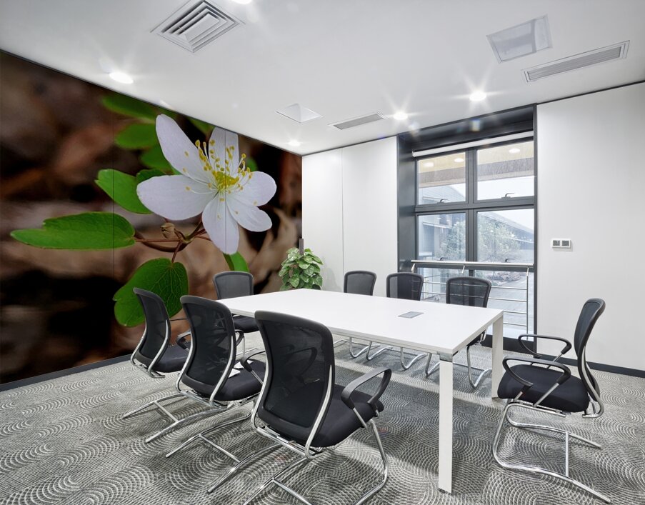 Rue Anemone Wall Printing