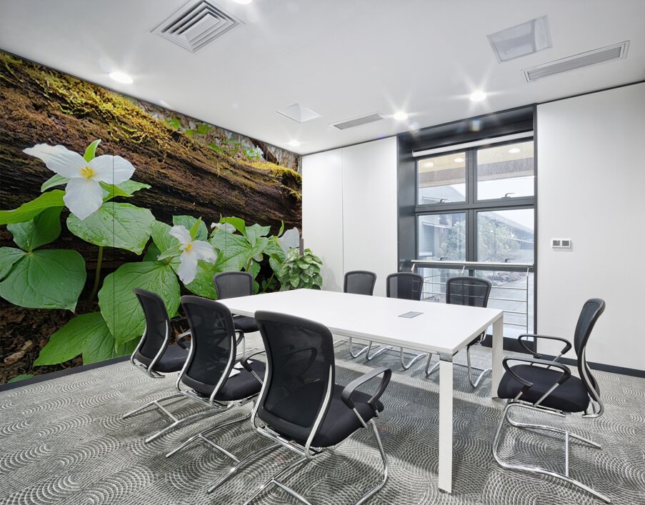 White Trillium Line Wall Printing