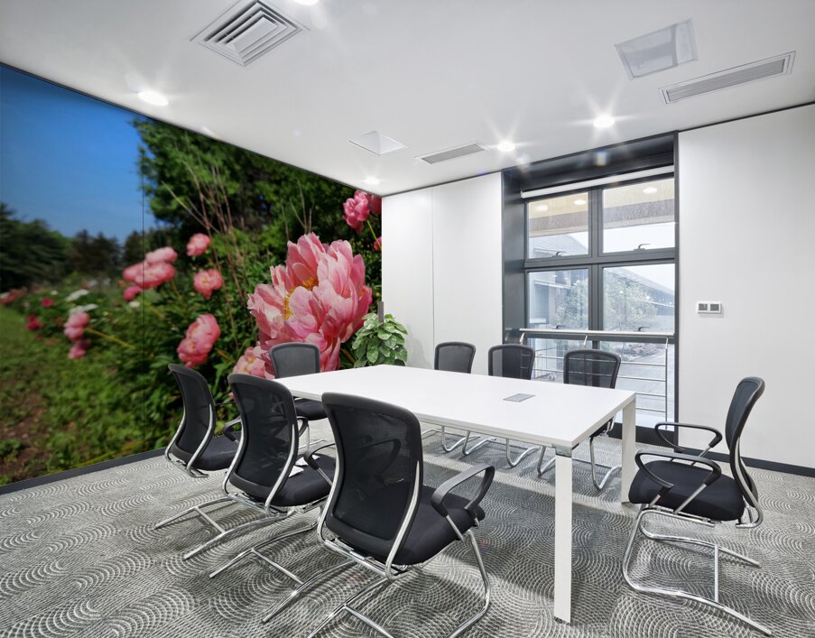 Salmon Peony Row Wall Printing