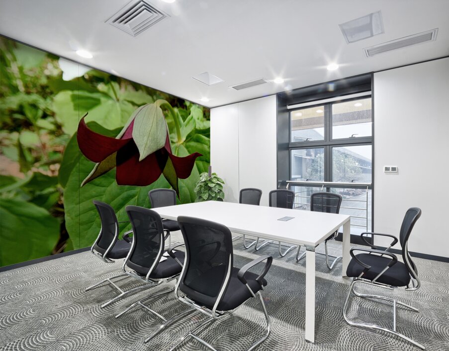 Red Trillium Nodding Wall Printing