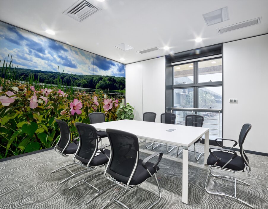 Swamp Mallow At Moraine State Park Wall Printing