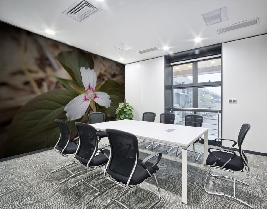 Painted Trillium Wall Printing