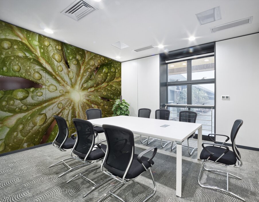 Raindrops On Mayapple Wall Printing
