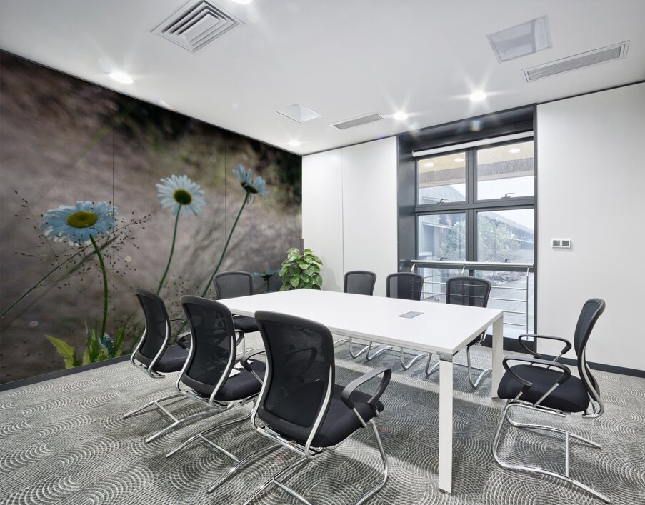 Daisies Wall Printing