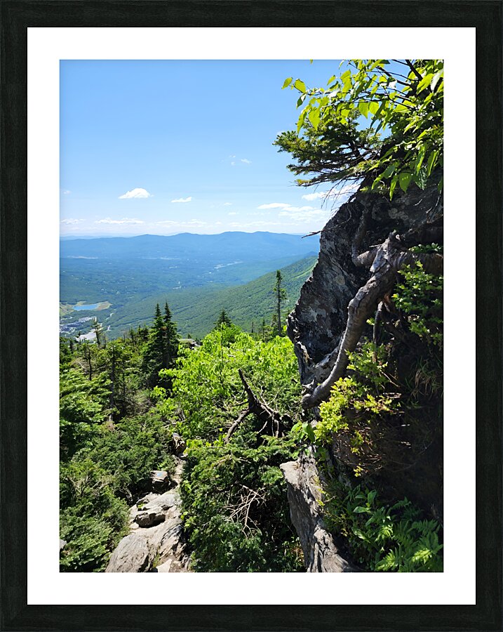 White Mountains 4 Picture Frame print