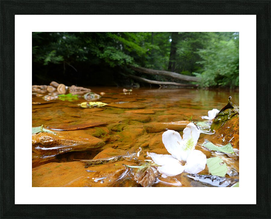 Carnahan Run Picture Frame print