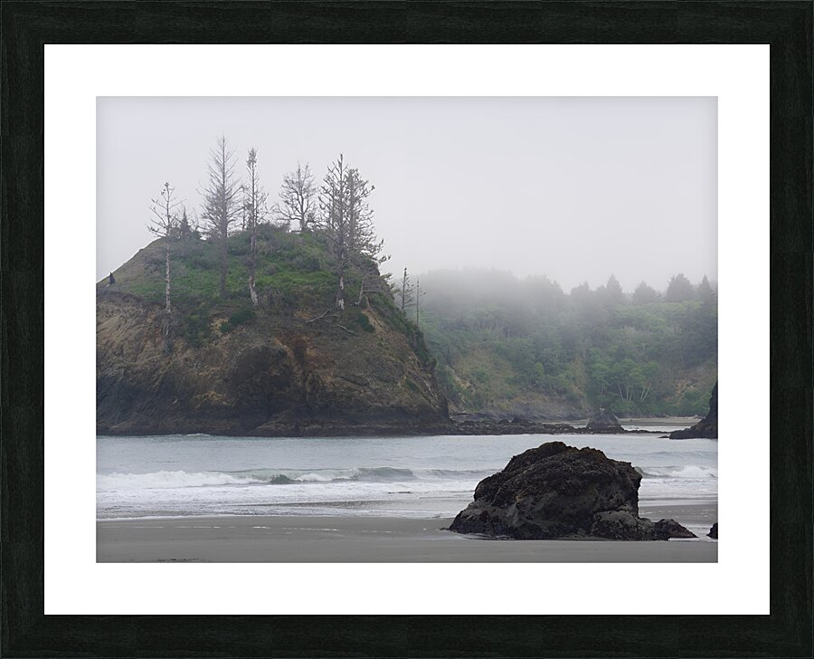 Pacific Coast Mist Picture Frame print