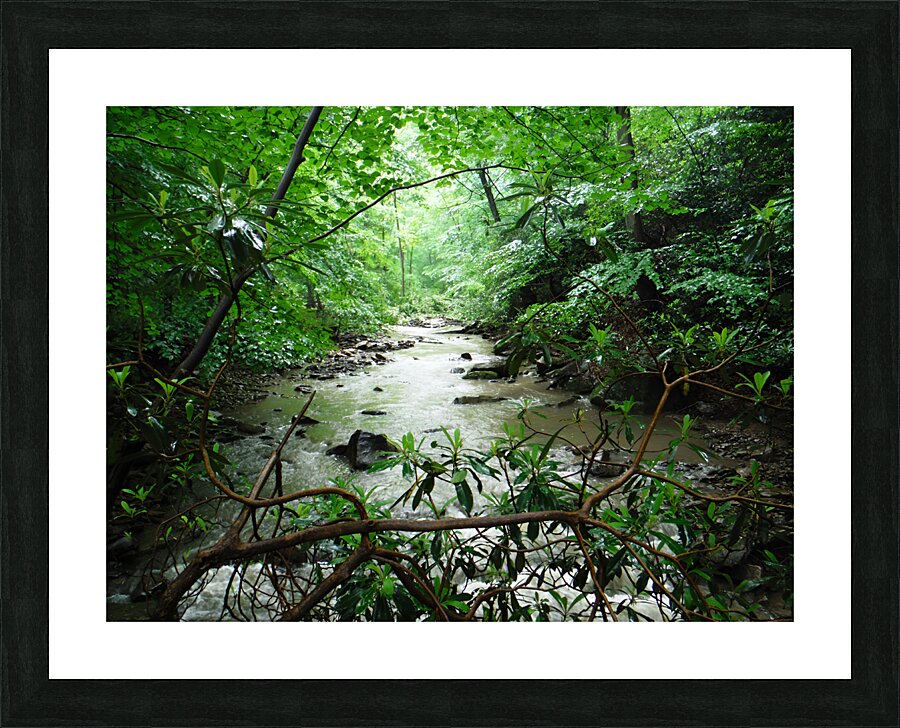Roaring Run Picture Frame print