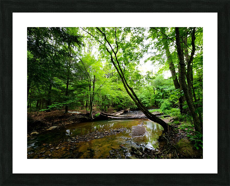 Laurel Run Picture Frame print