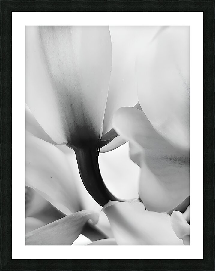 Ethereal Flower Picture Frame print