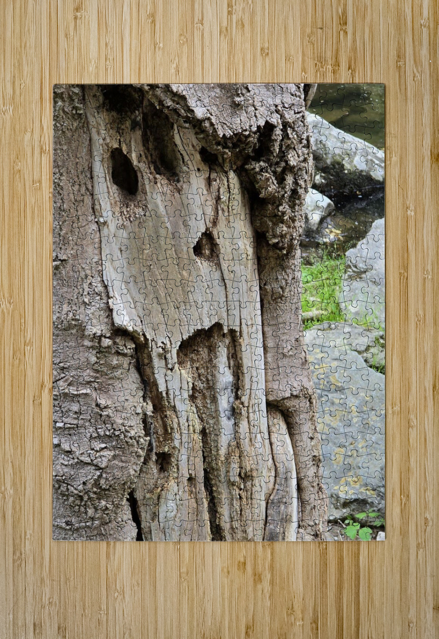 Faces Of The Smokies 4 Earthshine Emporium Puzzle printing