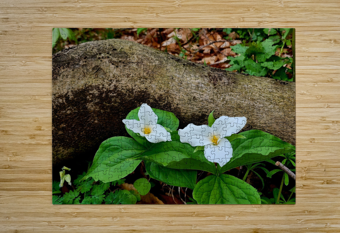 Trillium Duo Earthshine Emporium Puzzle printing