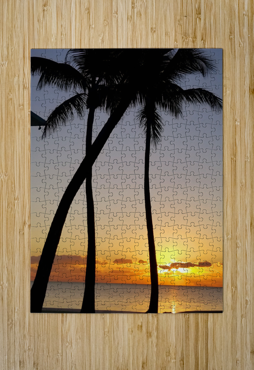 Florida Keys Sunrise & Palms 1 Earthshine Emporium Puzzle printing