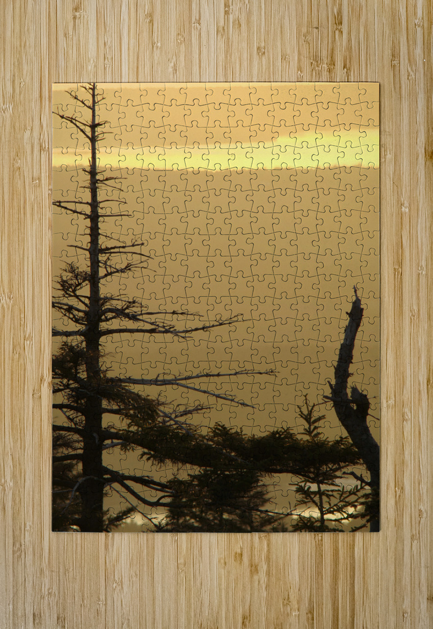 Golden Sunrise Earthshine Emporium Puzzle printing