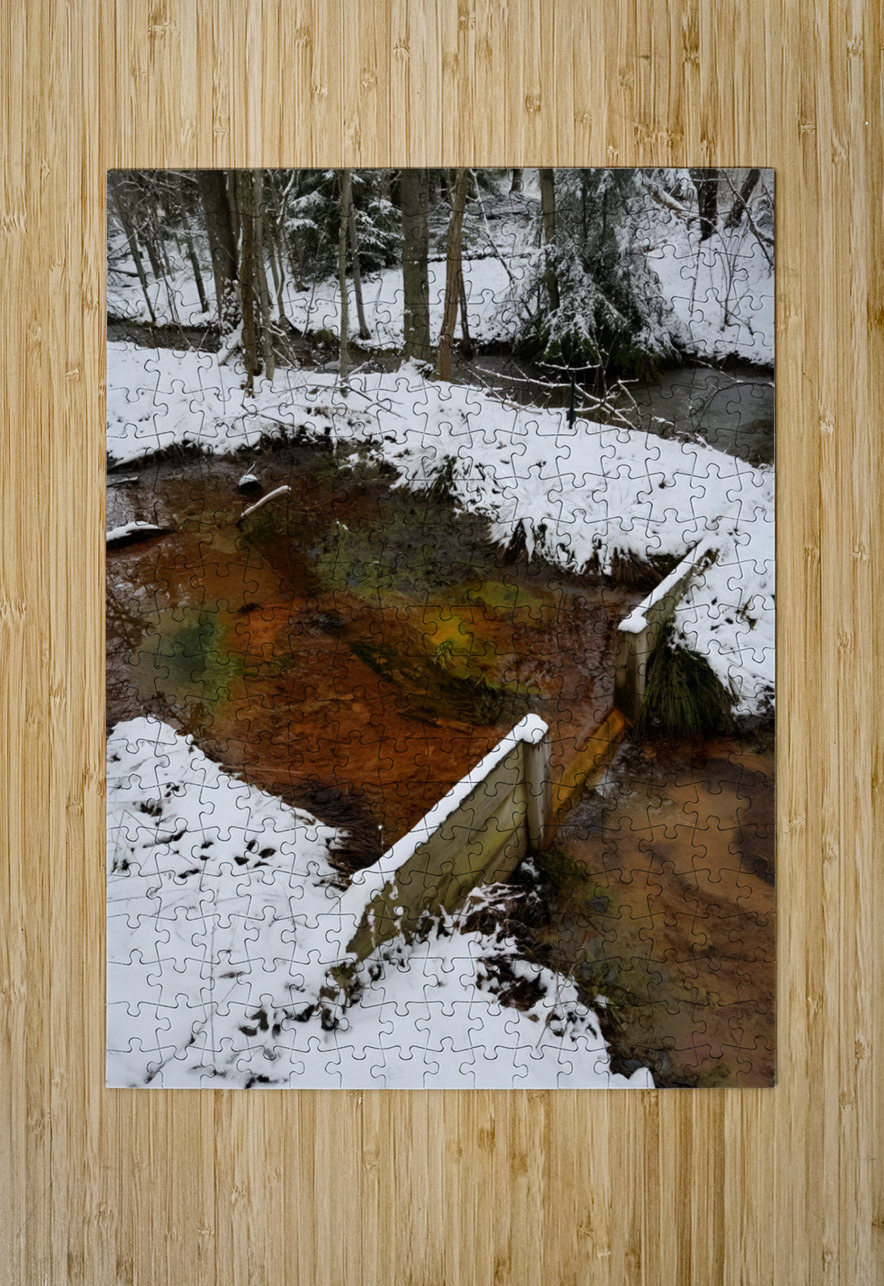 Reitz  2 Lower AMD Earthshine Emporium Puzzle printing