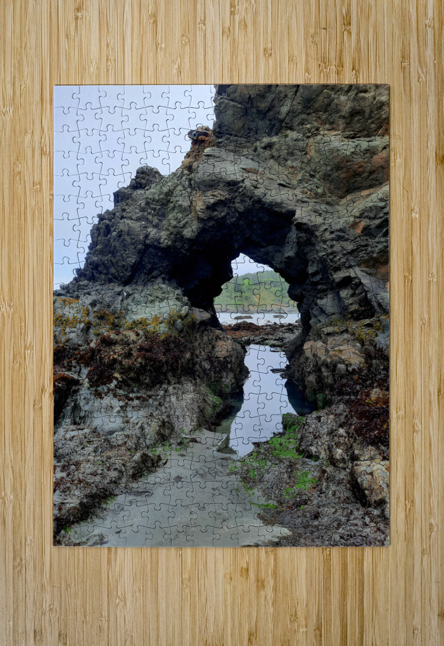 California Coast Earthshine Emporium Puzzle printing