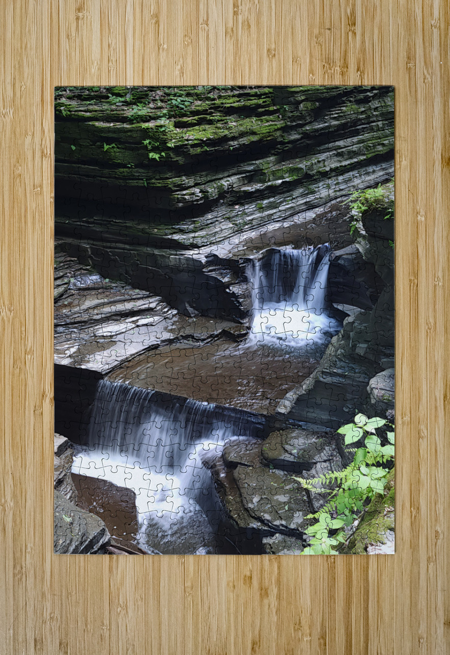 Watkins Glen State Park 1 Earthshine Emporium Puzzle printing