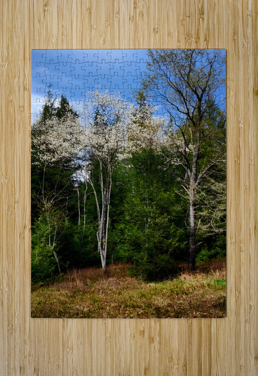 Gallitzin State Forest Earthshine Emporium Puzzle printing