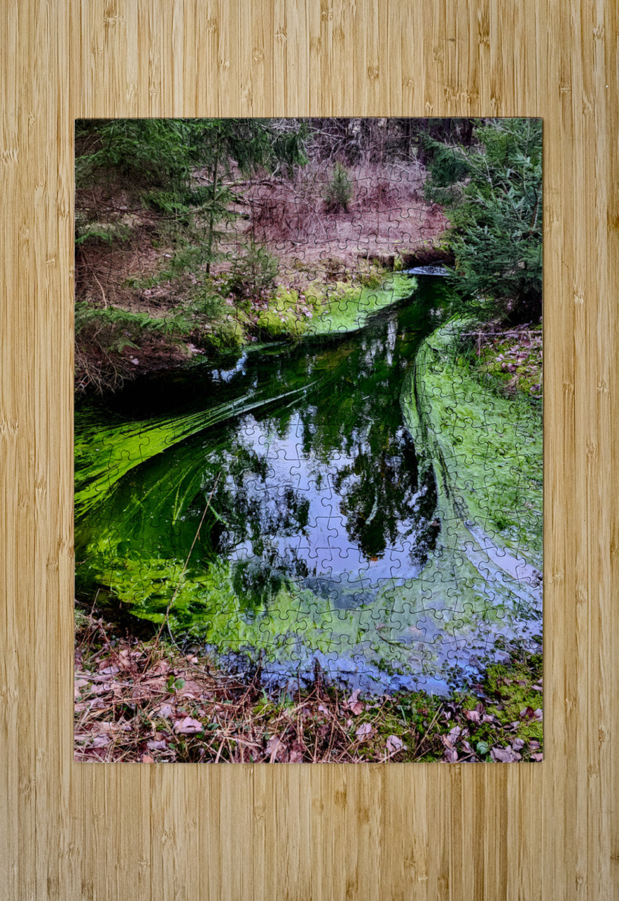 Reitz  2 AMD Earthshine Emporium Puzzle printing