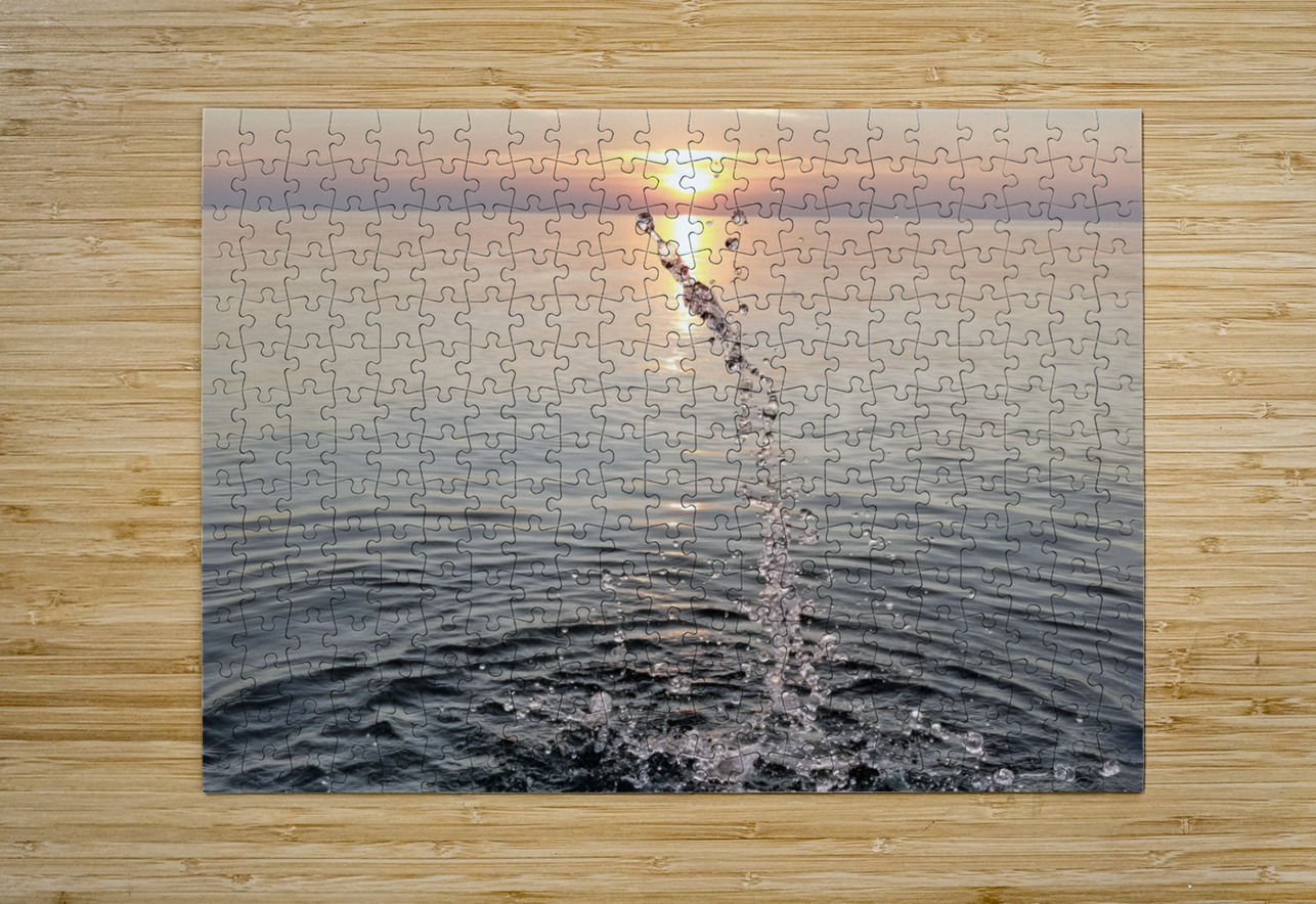 4th Of July Splash  Earthshine Emporium Puzzle printing