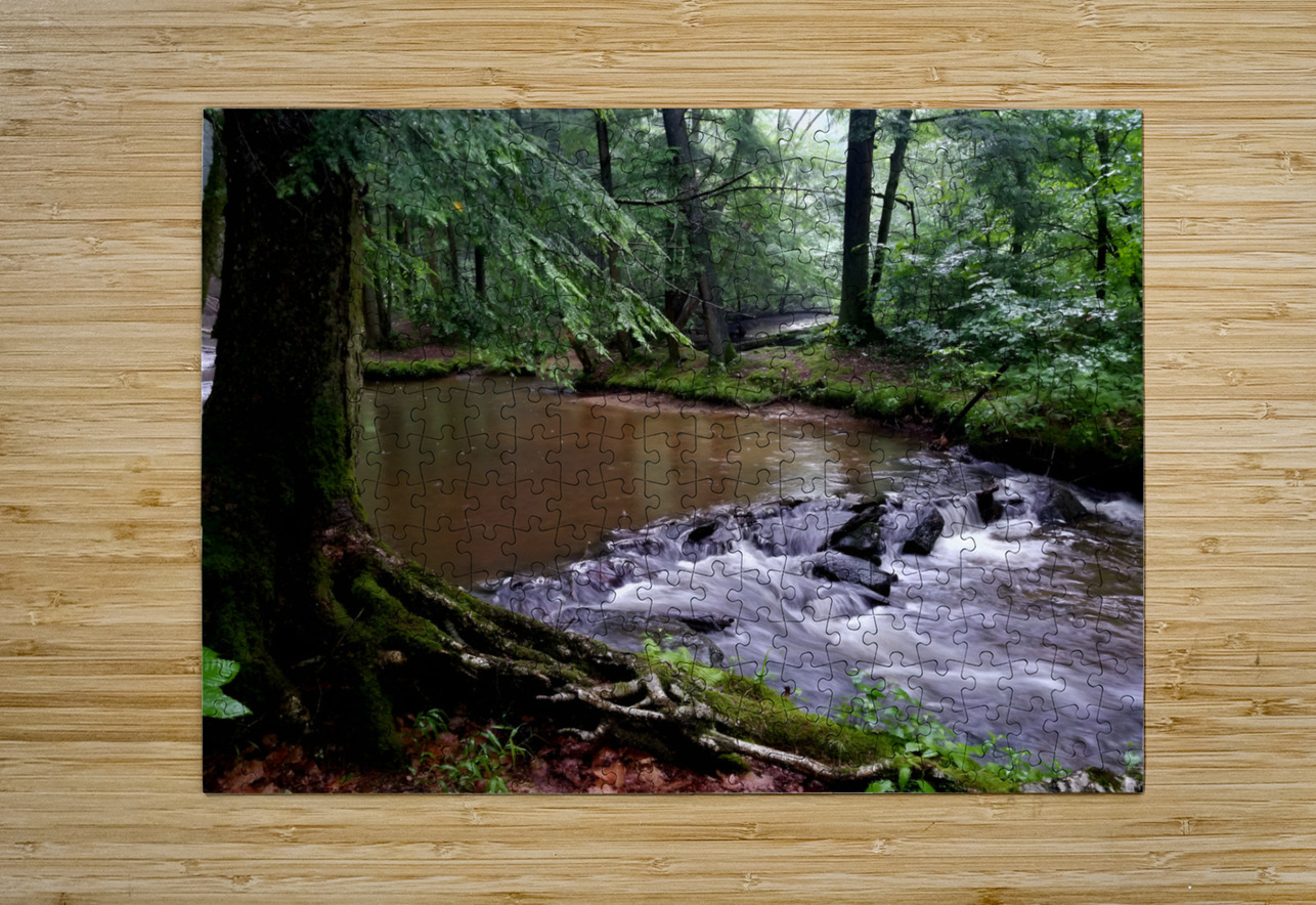 Hemlock Stream Earthshine Emporium Puzzle printing