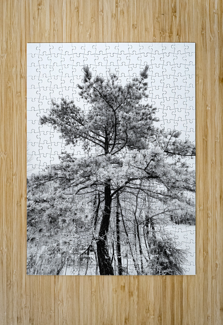Snowy White Pine Earthshine Emporium Puzzle printing