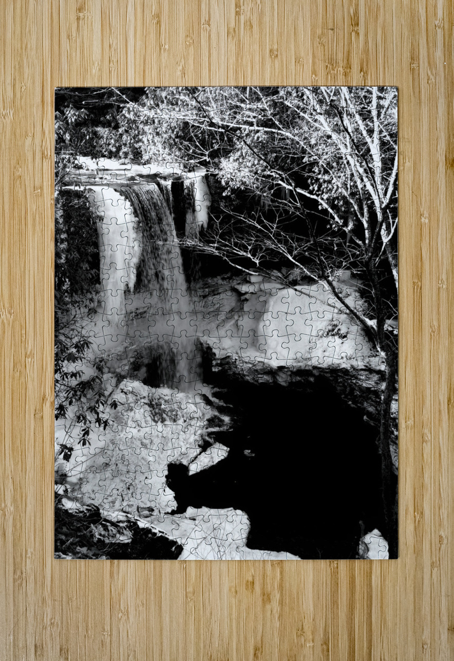 Cucumber Falls Earthshine Emporium Puzzle printing