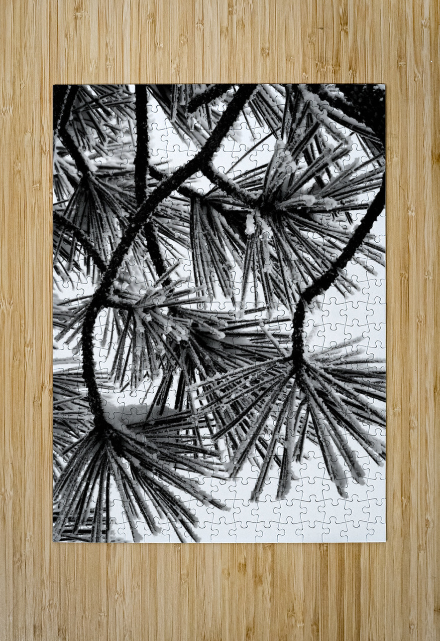 Snowy Conifer Earthshine Emporium Puzzle printing