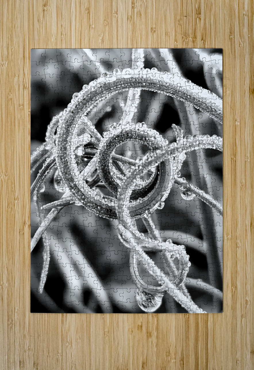 Natural Curl Earthshine Emporium Puzzle printing